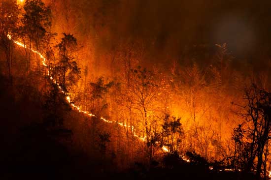 wildfire property damage, property insurance lawyer, fire damage insurance claim
